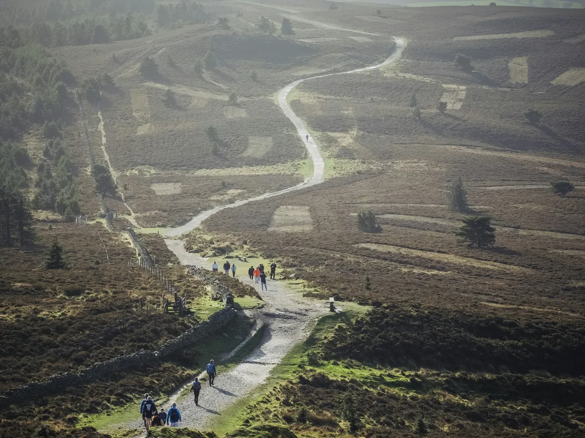 A group of spotters hiking together along a trail in the Welsh countryside